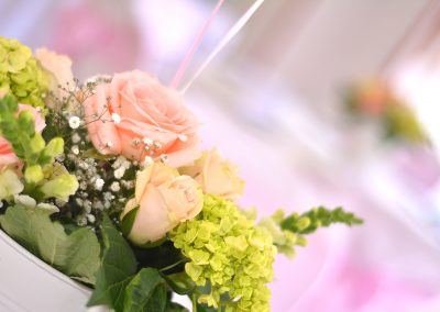 DMP_7558