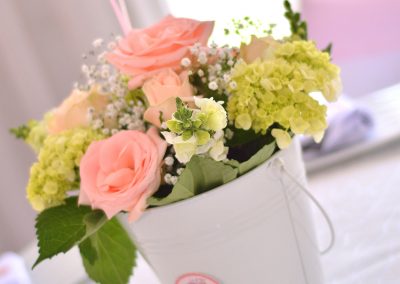 DMP_7565