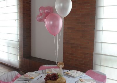 Primera Comunión Gabriela (4)