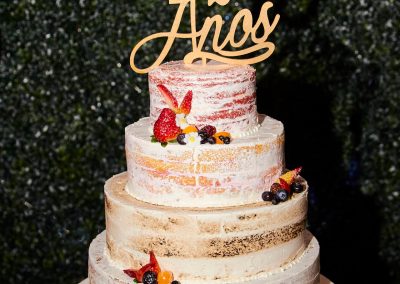 15 años de Camila (35)