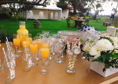 Boda Caro & LuisFer (16)