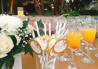 Boda Caro & LuisFer (19)