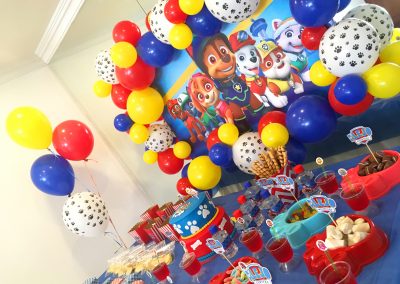 Fiesta Temática Paw Patrol Alejandro (11)
