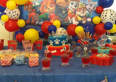 Fiesta Temática Paw Patrol Alejandro (12)