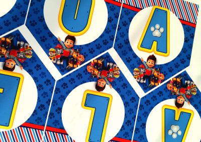 Fiesta Temática Paw Patrol Alejandro (3)