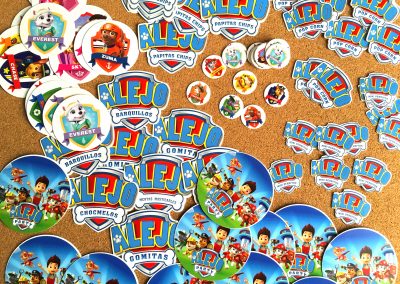 Fiesta Temática Paw Patrol Alejandro (4)