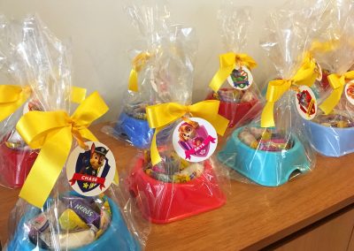 Fiesta Temática Paw Patrol Alejandro (6)