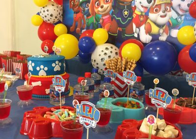 Fiesta Temática Paw Patrol Alejandro (7)
