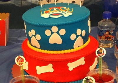 Fiesta Temática Paw Patrol Alejandro (8)