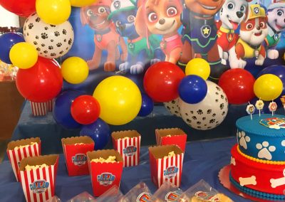 Fiesta Temática Paw Patrol Alejandro (9)