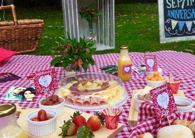 Picnic Copito 2