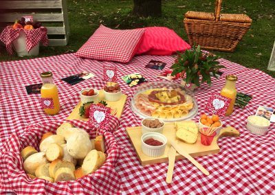 Picnic Copito 1