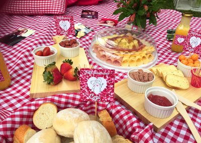 Picnic Copito 7