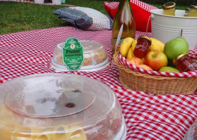 Picnic Cumpleaños Karen (13)