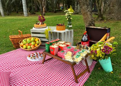 Picnic Cumpleaños Karen (21)