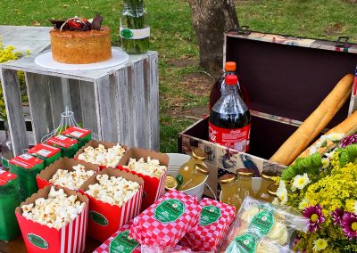 Picnic Cumpleaños Karen (22)