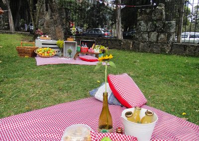Picnic Cumpleaños Karen (4)