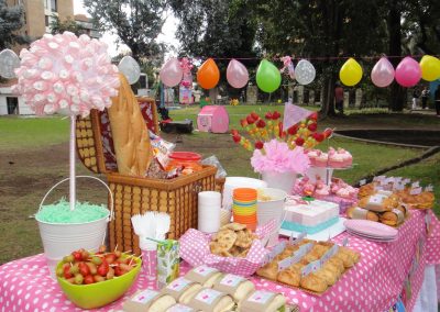 Picnic Peppa Antonia (13)
