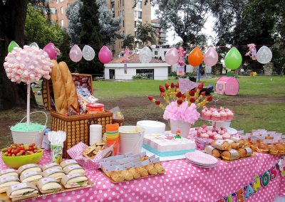 Picnic Peppa Antonia (6)