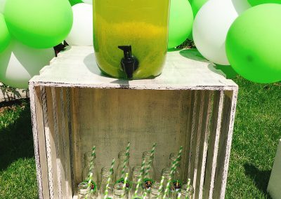 Picnic de Lorenzo (10)