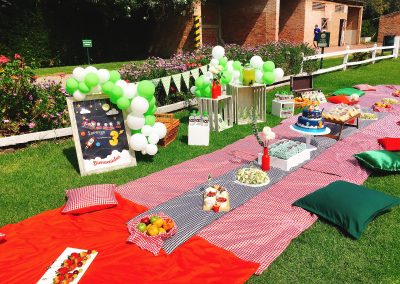 Picnic de Lorenzo (12)