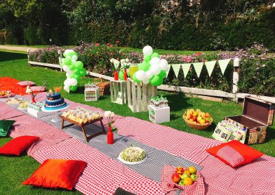 Picnic de Lorenzo (13)