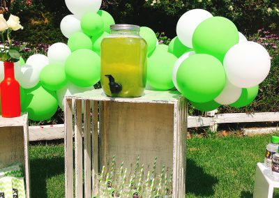 Picnic de Lorenzo (16)