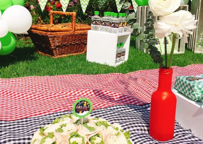 Picnic de Lorenzo (17)