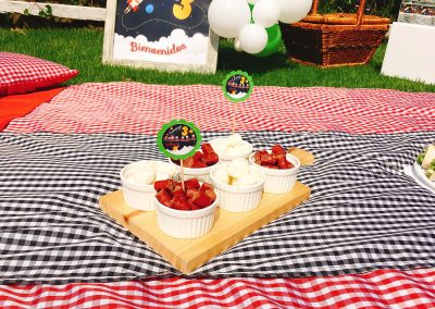 Picnic de Lorenzo (19)