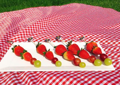 Picnic de Lorenzo (23)