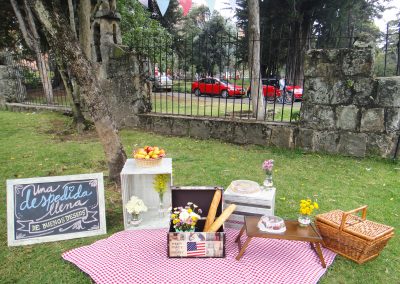 Picnic despedida Shari 2