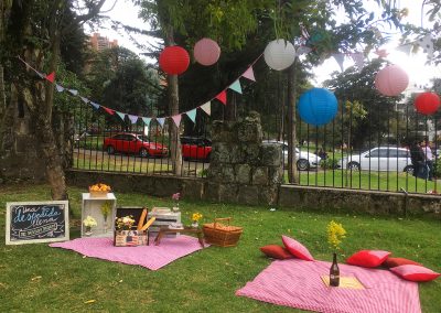 Picnic despedida Shari 3