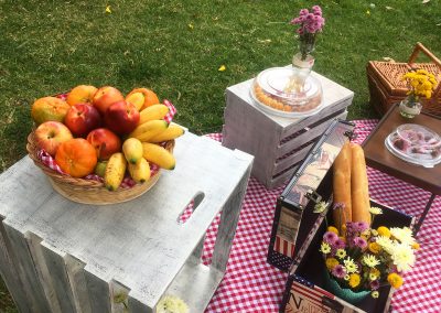 Picnic despedida Shari 4