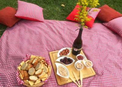 Picnic despedida Shari 7