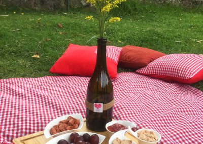 Picnic despedida Shari 8