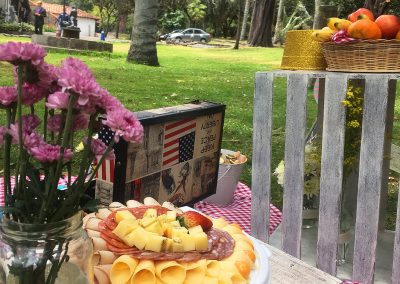 Picnic despedida Shari 10