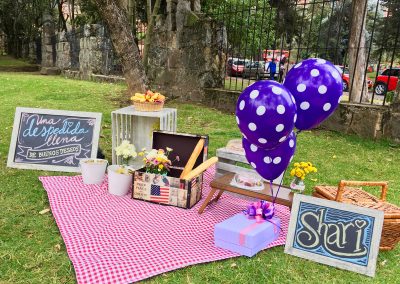 Picnic despedida Shari 11