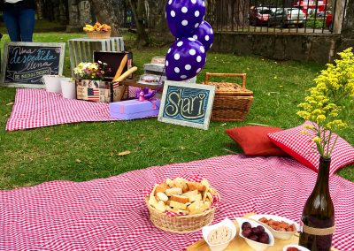Picnic despedida Shari 12