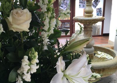 Bodas de oro E&H8
