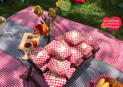 Picnic cumple Aleja 8