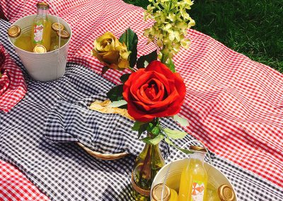 Picnic cumple Aleja 9