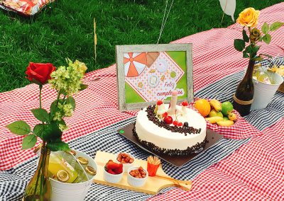 Picnic cumple Aleja 10