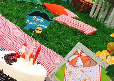 Picnic cumple Aleja 12