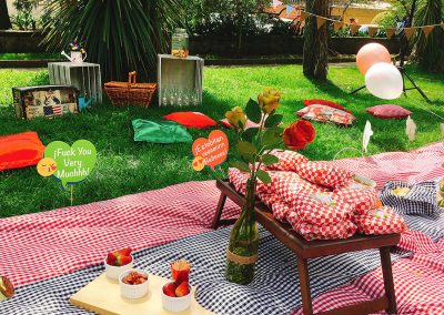 Picnic cumple Aleja 15