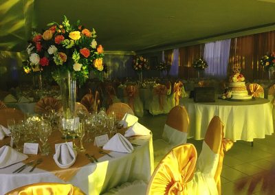 Bodas de oro M&B6