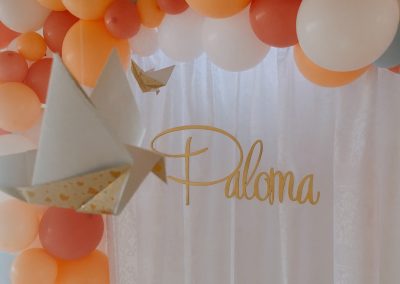 Comunión Paloma5