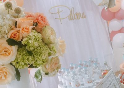 Comunión Paloma12