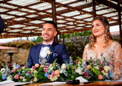 ARREGLADA-BODA-ALlMAR-456